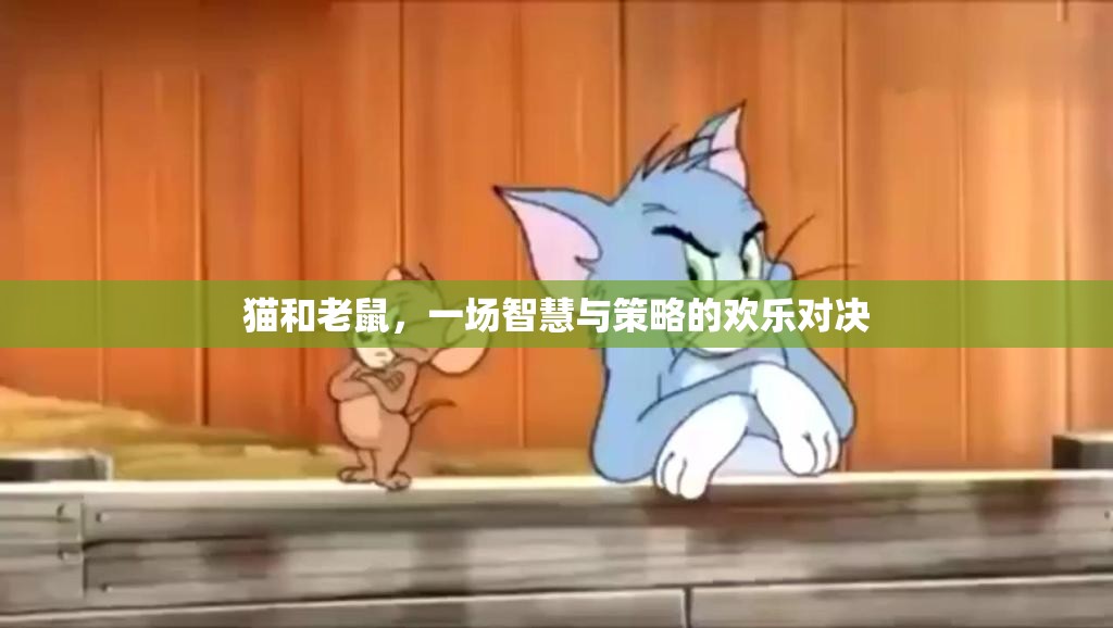 貓和老鼠，一場智慧與策略的歡樂對決