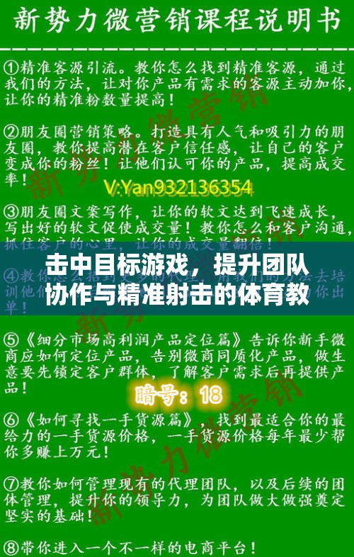 擊中目標游戲，提升團隊協(xié)作與精準射擊的體育教案