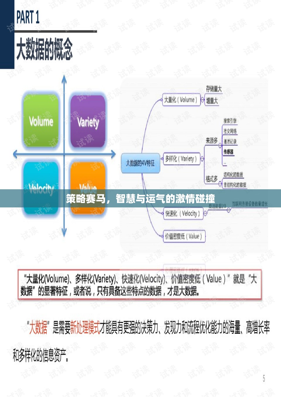 策略賽馬，智慧與運氣的激情碰撞