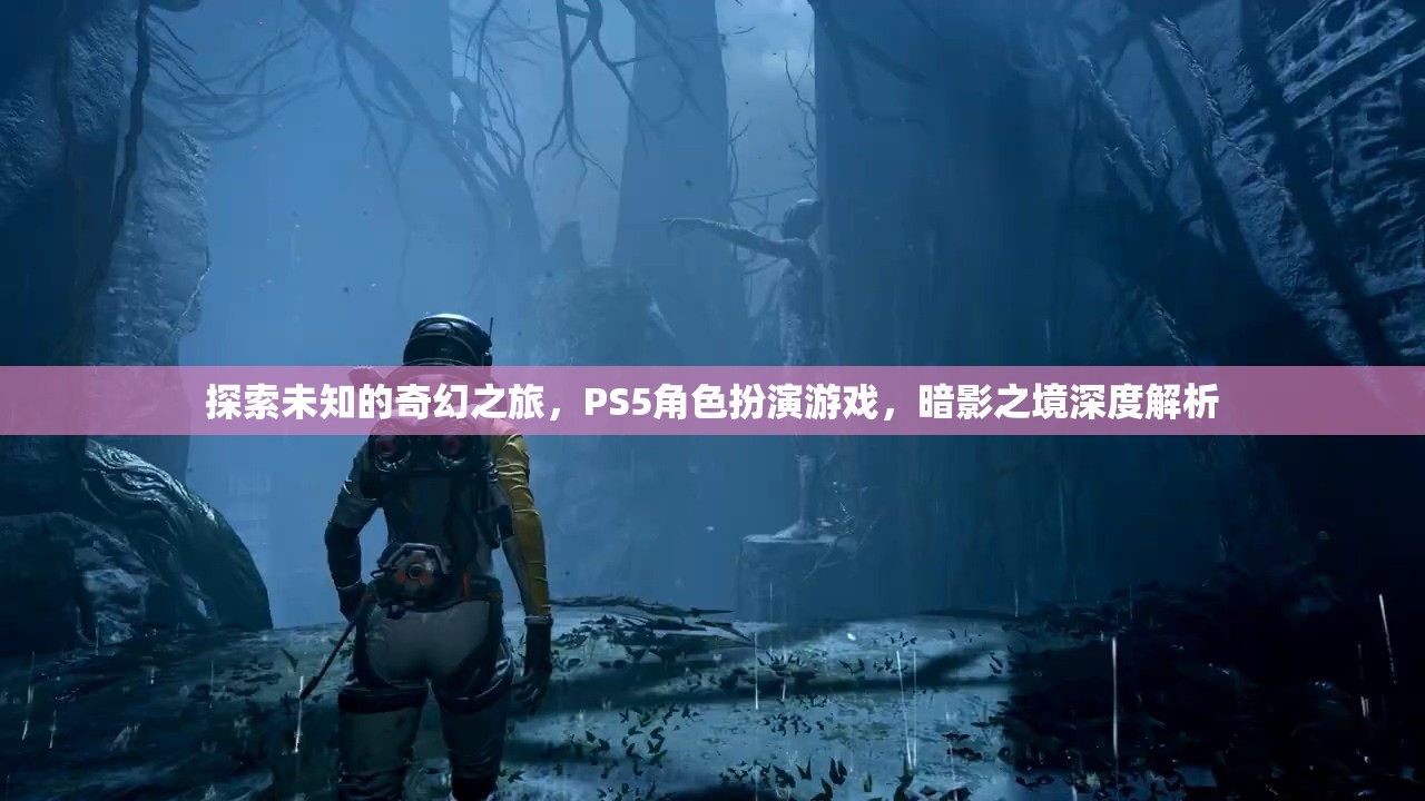 探索未知的奇幻之旅，PS5角色扮演游戲暗影之境深度解析