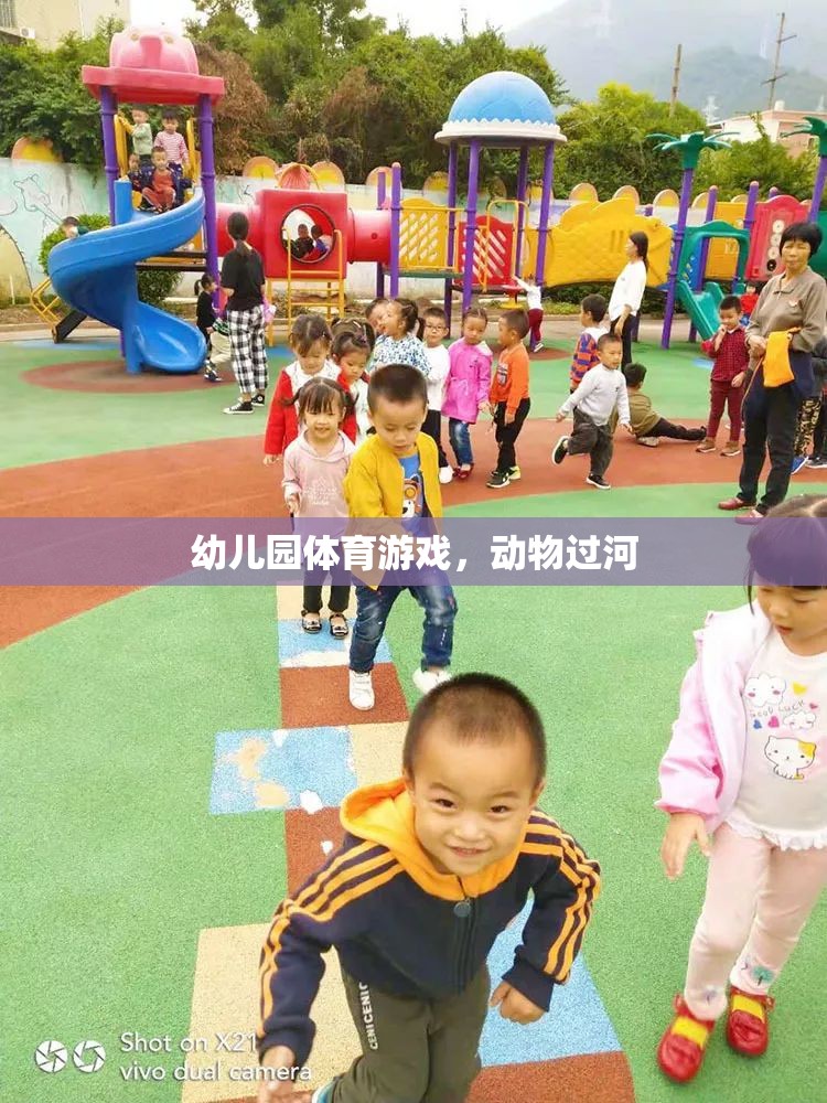 幼兒園體育游戲，動(dòng)物過河