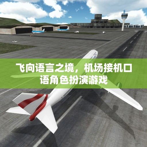 飛向語言之境，機場接機口語角色扮演游戲