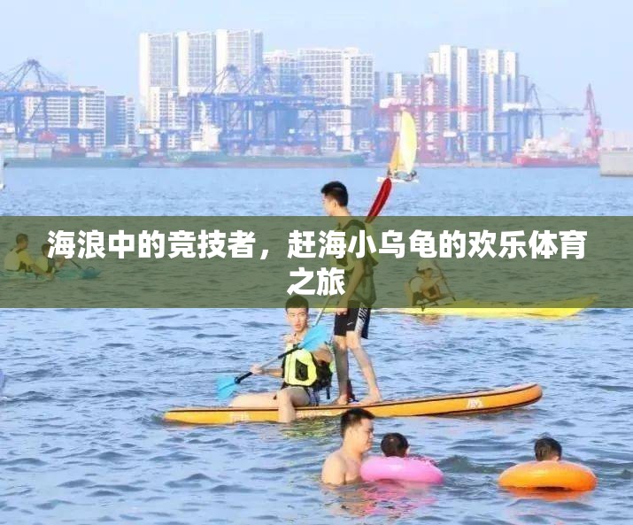 海浪中的小勇士，趕海小烏龜?shù)臍g樂體育冒險