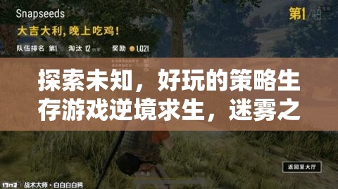 迷霧之地，逆境求生——探索未知的刺激策略生存游戲