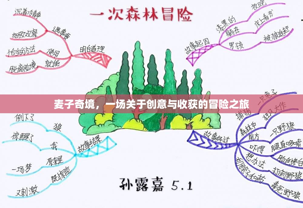 麥子奇境，創(chuàng)意與收獲的冒險(xiǎn)之旅