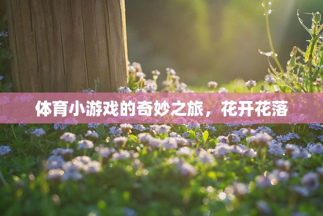 體育小游戲的奇妙之旅，花開花落的樂趣