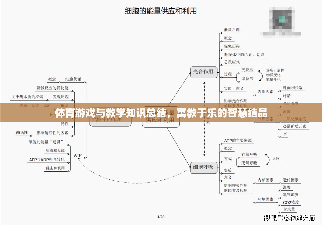 寓教于樂，體育游戲與教學知識的智慧結晶