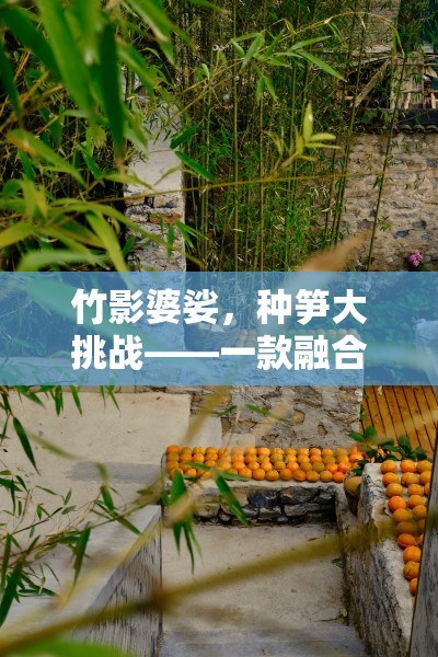 竹影婆娑，種筍大挑戰(zhàn)——自然與競技的完美融合