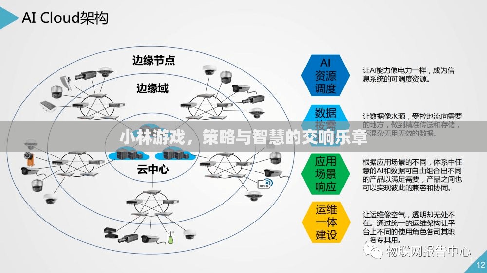 小林游戲，策略與智慧的交響樂章