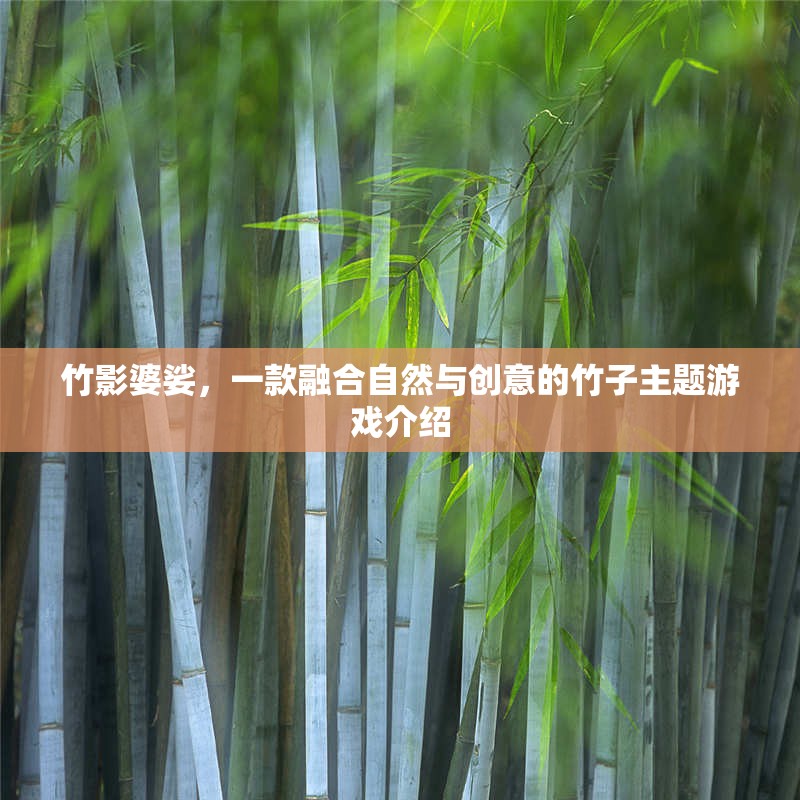 竹影創(chuàng)意，一款融合自然與創(chuàng)意的竹子主題游戲