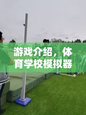 游戲介紹，體育學(xué)校模擬器，夢想與汗水交織的虛擬賽場之旅