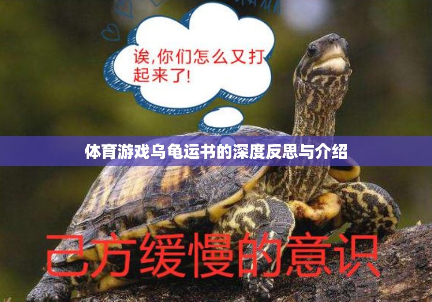 深度反思與介紹，體育游戲?yàn)觚斶\(yùn)書的挑戰(zhàn)與樂趣