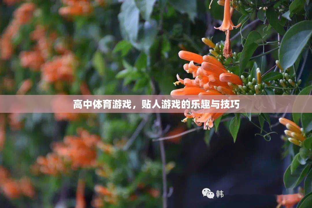 高中體育游戲，貼人游戲的樂(lè)趣與技巧