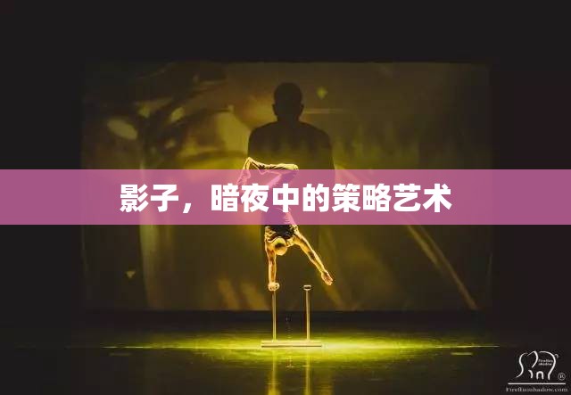 暗夜中的策略藝術(shù)，影子的魅力