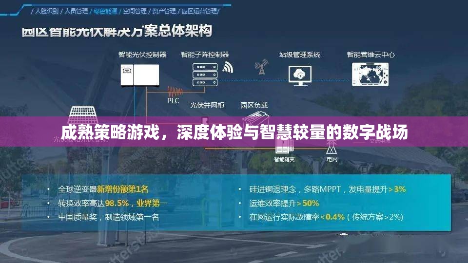 成熟策略游戲，深度體驗(yàn)與智慧較量的數(shù)字戰(zhàn)場