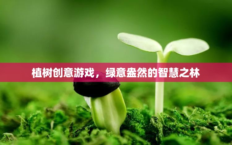 植樹(shù)創(chuàng)意游戲，打造智慧之林