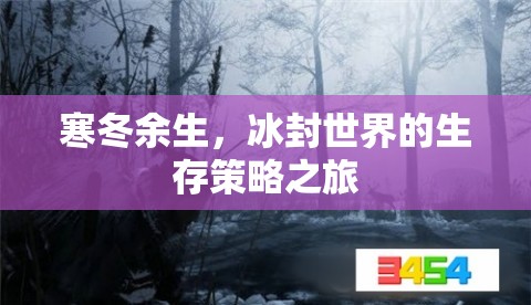 寒冬余生，冰封世界的生存策略之旅