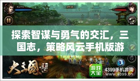 智勇交鋒，三國志策略風云手機版游戲深度解析