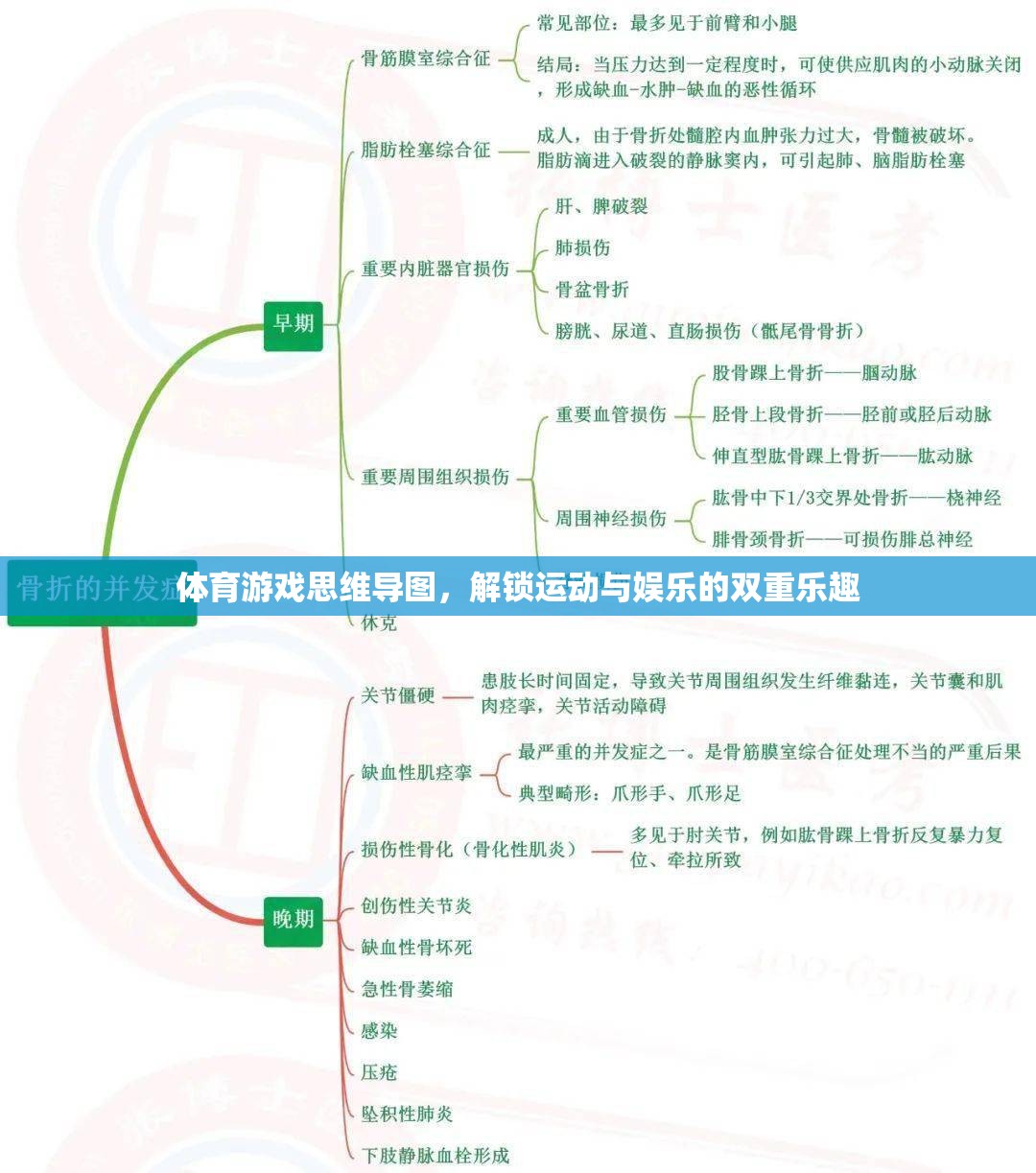 解鎖運(yùn)動(dòng)與娛樂的雙重樂趣，體育游戲思維導(dǎo)圖指南