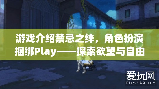 禁忌之絆，角色扮演捆綁Play——探索欲望與自由的邊緣