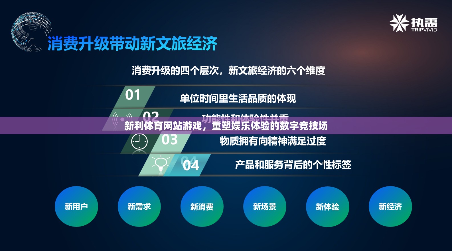 新利體育網(wǎng)站游戲，重塑娛樂體驗的數(shù)字競技場