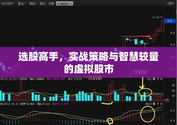 選股高手，實(shí)戰(zhàn)策略與智慧較量的虛擬股市
