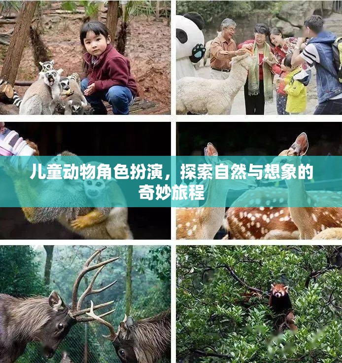 童趣無限，兒童動物角色扮演的奇妙自然探索之旅