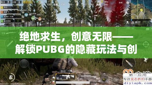 絕地求生，解鎖PUBG的隱藏玩法與創(chuàng)意模式