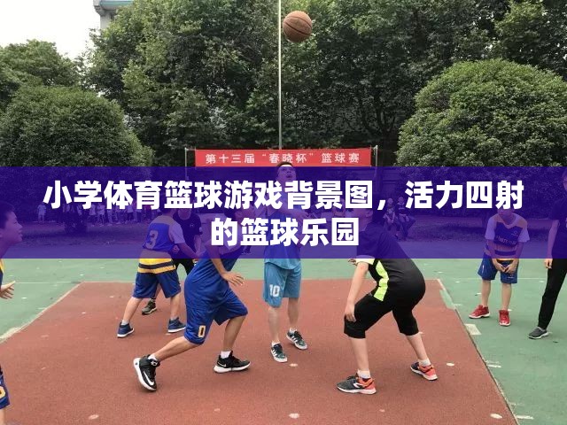 活力籃球樂(lè)園，小學(xué)體育的激情背景圖