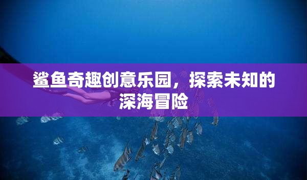 鯊魚奇趣創(chuàng)意樂(lè)園，解鎖深海未知的冒險(xiǎn)之旅