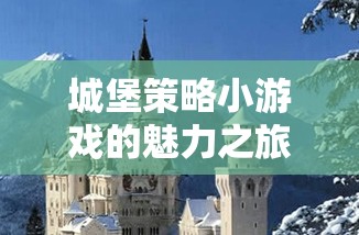 智慧與勇氣的較量，城堡策略小游戲的魅力之旅