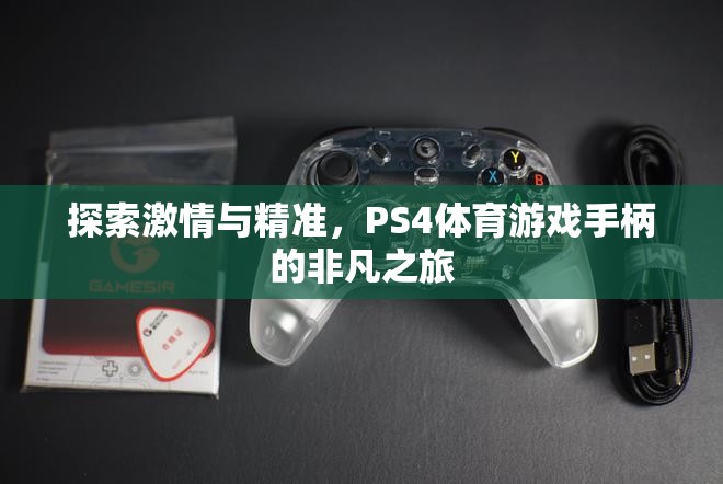 PS4體育游戲手柄，探索激情與精準(zhǔn)的非凡之旅