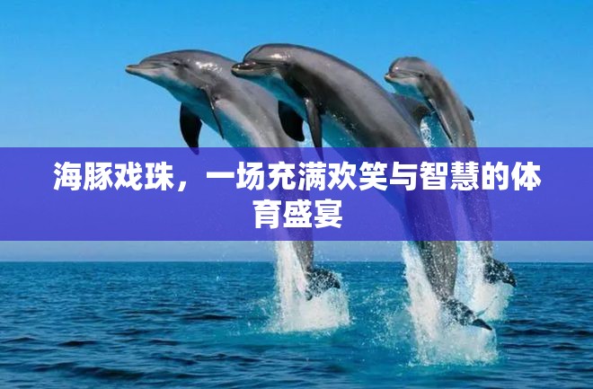 海豚戲珠，歡笑與智慧的體育盛宴