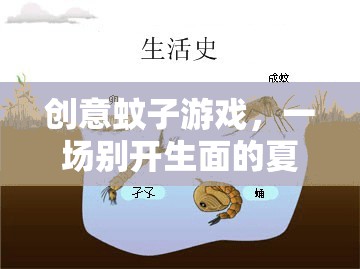 夏日奇趣，創(chuàng)意蚊子游戲，解鎖別開生面的冒險(xiǎn)之旅