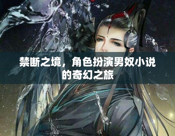 禁斷之境，男奴角色的奇幻冒險