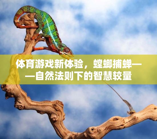 體育游戲新體驗，螳螂捕蟬——自然法則下的智慧較量