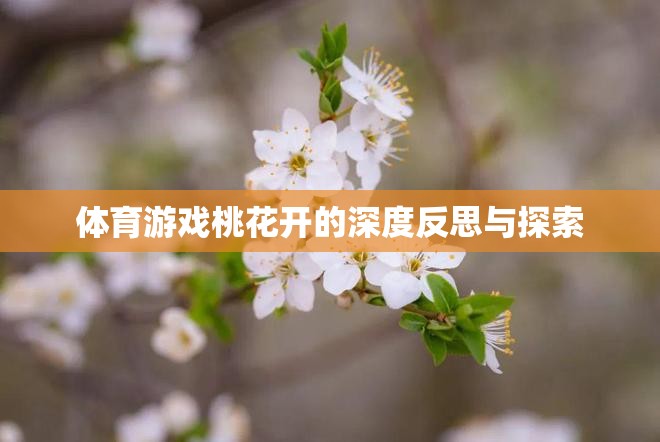 體育游戲桃花開的深度反思與探索