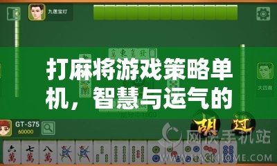 智慧與運(yùn)氣的碰撞，揭秘打麻將游戲策略的單機(jī)版