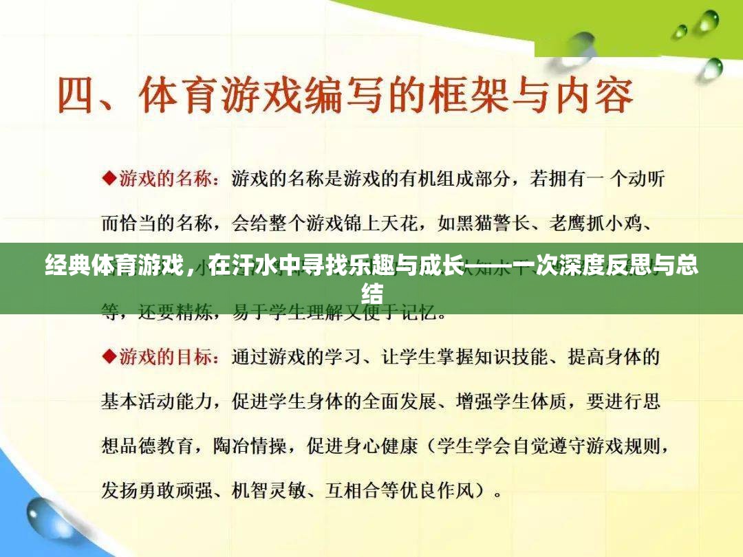 經(jīng)典體育游戲，在汗水中尋找樂趣與成長的深度反思與總結