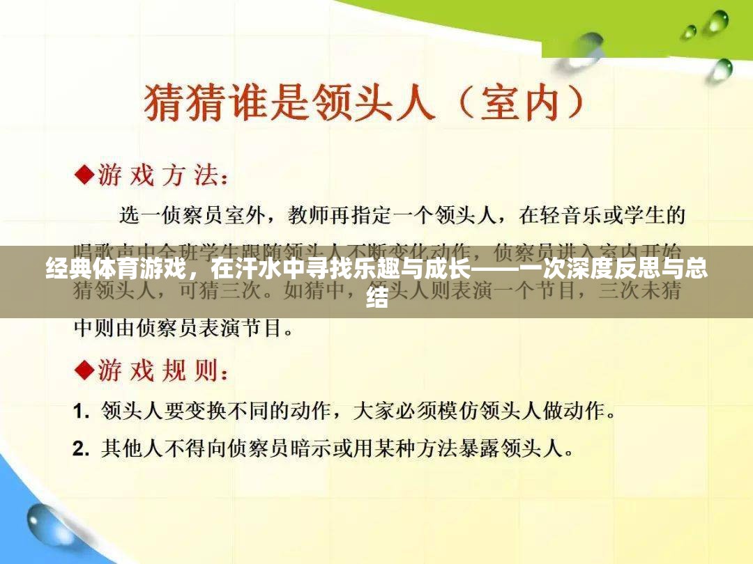 經(jīng)典體育游戲，在汗水中尋找樂趣與成長的深度反思與總結