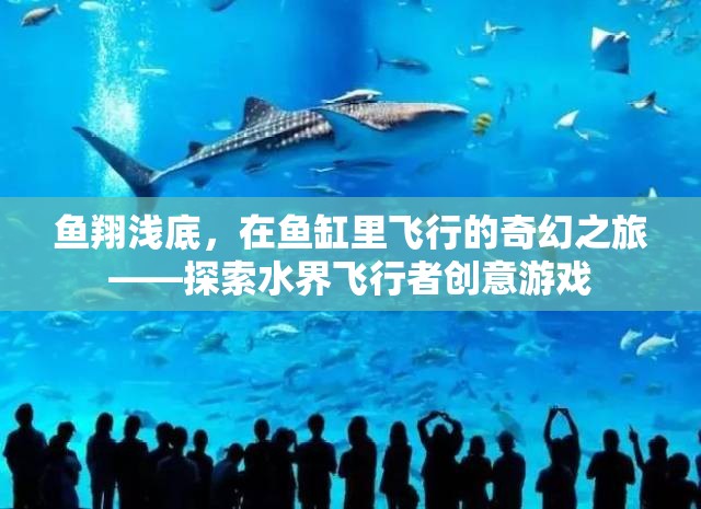 水界飛行者，魚翔淺底的奇幻之旅