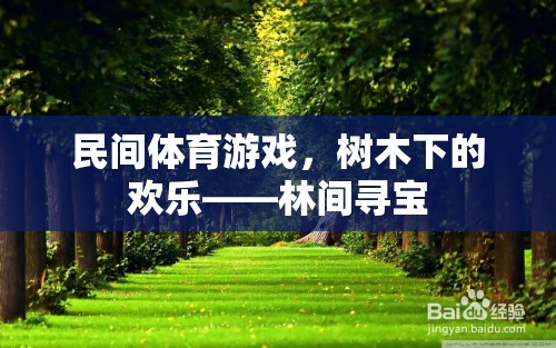 民間體育游戲，樹(shù)木下的歡樂(lè)——林間尋寶