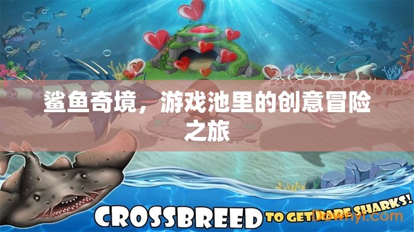 鯊魚(yú)奇境，游戲池中的創(chuàng)意冒險(xiǎn)之旅