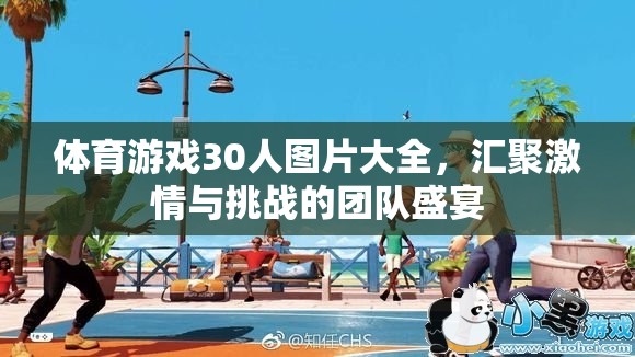 30人體育游戲圖片集錦，激情與挑戰(zhàn)的團(tuán)隊(duì)盛宴