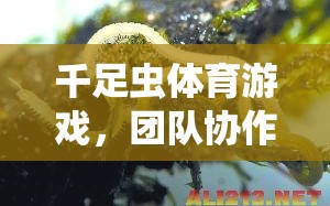 千足蟲(chóng)體育游戲，團(tuán)隊(duì)協(xié)作與策略的趣味挑戰(zhàn)