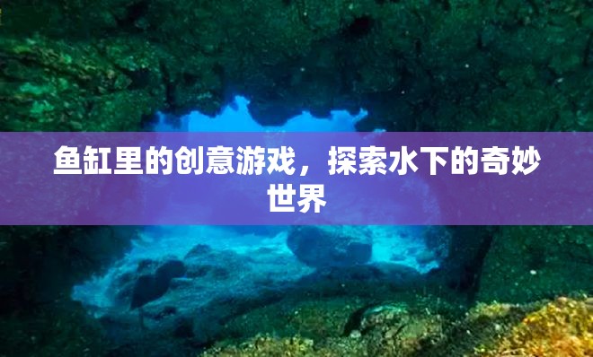 魚缸里的創(chuàng)意游戲，探索水下的奇妙世界