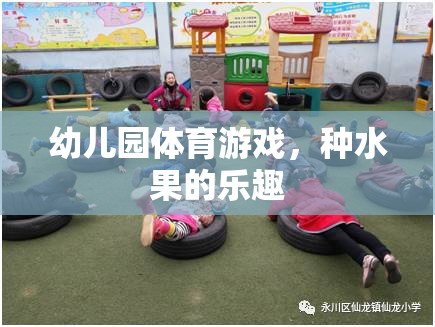 種水果的樂趣，幼兒園體育游戲新體驗(yàn)