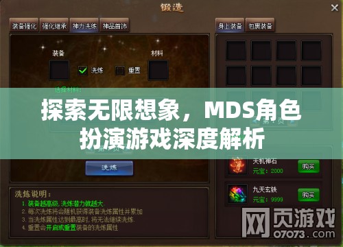 探索無(wú)限想象，MDS角色扮演游戲深度解析