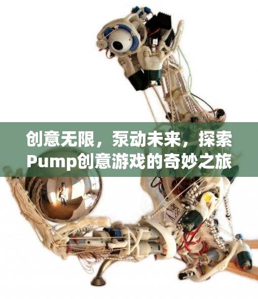 Pump創(chuàng)意游戲，探索無限創(chuàng)意，泵動(dòng)未來之旅