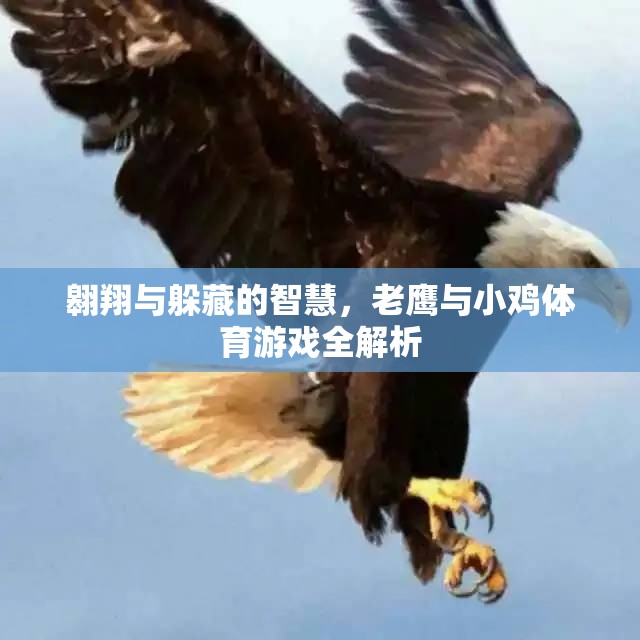 老鷹與小雞，體育游戲中的翱翔與躲藏智慧全解析